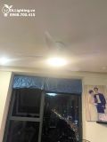  Quạt trần đèn 5 cánh QTD026 