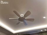  Quạt trần đèn 6 cánh QTD027 