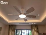  Quạt trần đèn 6 cánh QTD027 