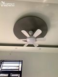  Quạt trần đèn 6 cánh QTD027 