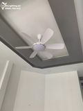  Quạt trần đèn 6 cánh QTD027 
