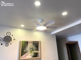  Quạt trần đèn 6 cánh QTD027 