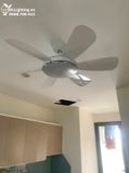  Quạt trần đèn 6 cánh QTD027 