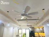  Quạt trần đèn 6 cánh QTD027 