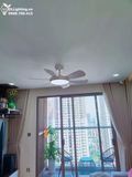  Quạt trần đèn 6 cánh QTD027 