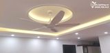  Quạt trần đèn 5 cánh QTD028 