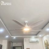  Quạt trần đèn 5 cánh QTD028 