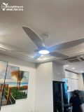  Quạt trần đèn 5 cánh QTD028 