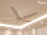  Quạt trần đèn 5 cánh QTD028 