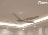  Quạt trần đèn 5 cánh QTD028 