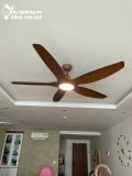  Quạt trần đèn 5 cánh QTD029 