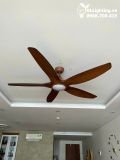  Quạt trần đèn 5 cánh QTD029 