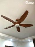  Quạt trần đèn 5 cánh QTD029 