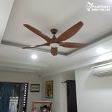  Quạt trần đèn 5 cánh QTD029 