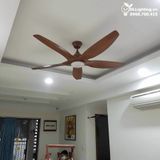  Quạt trần đèn 5 cánh QTD029 