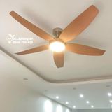  Quạt trần đèn 5 cánh QTD030 