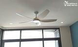  Quạt trần đèn 5 cánh QTD034 