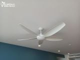  Quạt trần đèn 5 cánh QTD034 