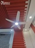  Quạt trần đèn 5 cánh QTD034 