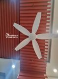  Quạt trần đèn 5 cánh QTD034 