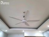  Quạt trần đèn 5 cánh QTD034 