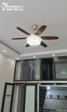  Quạt trần kết hợp đèn chùm pha lê QTD035 