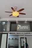  Quạt trần kết hợp đèn chùm pha lê QTD035 
