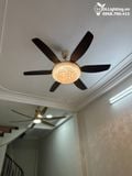  Quạt trần kết hợp đèn chùm pha lê QTD036 