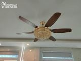  Quạt trần kết hợp đèn chùm pha lê QTD036 