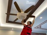  Quạt trần kết hợp đèn chùm pha lê QTD036 