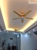  Quạt trần đèn 5 cánh thép QTD038 