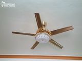 Quạt trần đèn 5 cánh thép QTD038 
