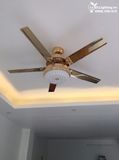 Quạt trần đèn 5 cánh thép QTD038 