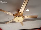  Quạt trần đèn 5 cánh thép QTD038 