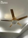  Quạt trần đèn 5 cánh thép QTD038 