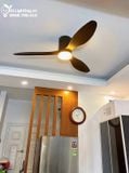  Quạt trần đèn cổ ngắn QTD043 