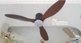  Quạt trần đèn cổ ngắn QTD043 