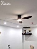  Quạt trần đèn cổ ngắn QTD043 