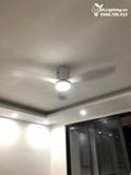  Quạt trần đèn cổ ngắn QTD045 