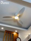  Quạt trần đèn cổ ngắn QTD045 