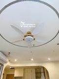  Quạt trần đèn 5 cánh QTD049 