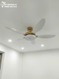  Quạt trần đèn 5 cánh QTD049 