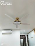  Quạt trần đèn 5 cánh QTD049 
