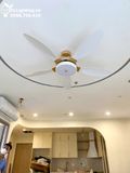  Quạt trần đèn 5 cánh QTD049 