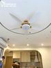 Quạt trần đèn 5 cánh QTD049