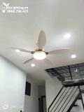  Quạt trần đèn 5 cánh QTD049 
