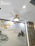  Quạt trần đèn 5 cánh QTD049 