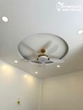  Quạt trần đèn 5 cánh QTD049 