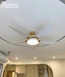  Quạt trần đèn 5 cánh QTD049 