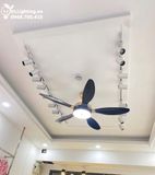  Quạt trần đèn 5 cánh QTD050 
